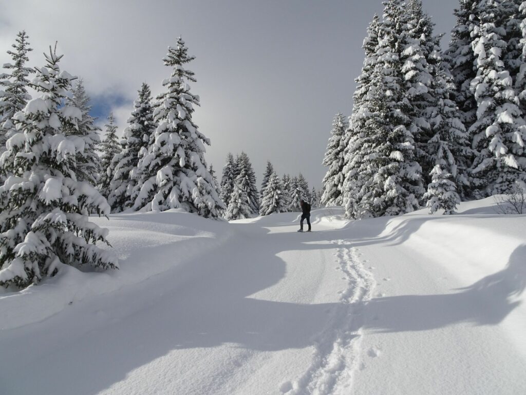 Randonnée en hiver